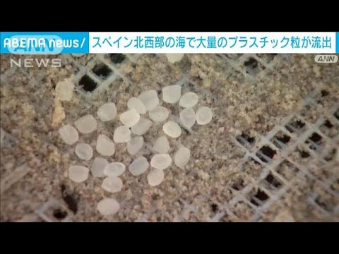 スペイン北西部の海で大量のプラスチック粒が流出(2024年1月16日)