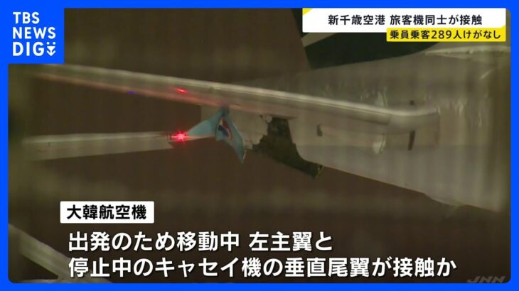 移動中の大韓航空機と停止中のキャセイパシフィック機が接触　けが人も火災もなし｜TBS NEWS DIG