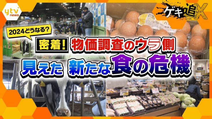 物価高政策を支える全国調査に密着!見えた思わぬ余波に苦しむ生産者たちと“ニッポンの食”の新たな危機は!?【かんさい情報ネットten.特集/ゲキ追X】