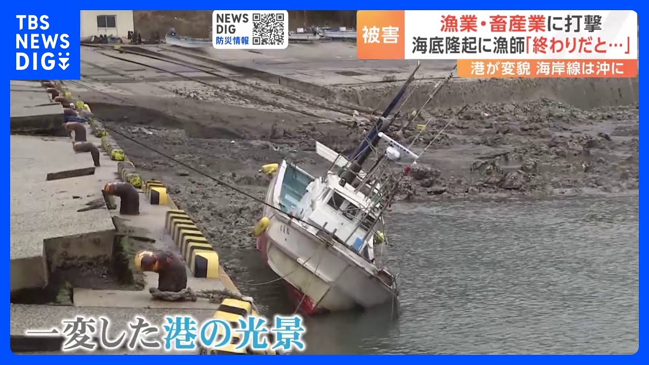 海面隆起で「終わりだと思った」　津波で少なくとも172の漁船が被害に　畜産業も打撃　能登半島地震｜TBS&nbsp;NEWS&nbsp;DIG