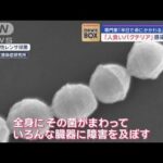 “人食いバクテリア”感染最多に　専門家「半日で命にかかわる」【スーパーJチャンネル】(2024年1月18日)