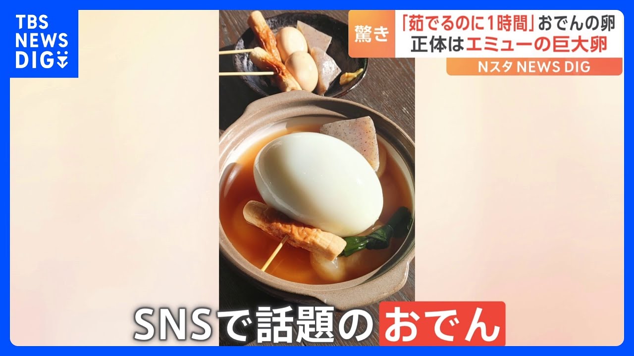 「でっっっっか！」いま話題のおでんに入った巨大なたまご　正体は…エミュー！｜TBS&nbsp;NEWS&nbsp;DIG