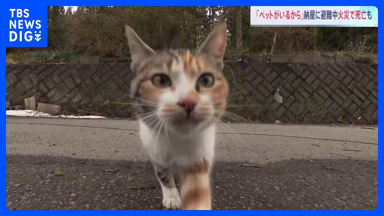 「ペットがいるから避難所にいけない」焼け跡から遺体　納屋で避難生活の男性か【石川・能登半島地震】｜TBS&nbsp;NEWS&nbsp;DIG