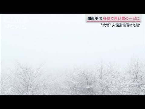 富士山望む絶景スポットも真っ白に…関東甲信で雪　東京の一部で大雪注意報も【サタデーステーション】(2024年1月20日)