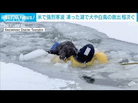 米中西部 大寒波で湖が凍り…イヌやハクチョウの救出相次ぐ(2024年1月21日)