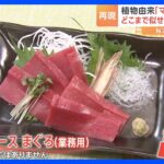 記者も騙された！？「全然わからない」日本ハム開発　植物由来の“代替マグロ”の味は？｜TBS NEWS DIG