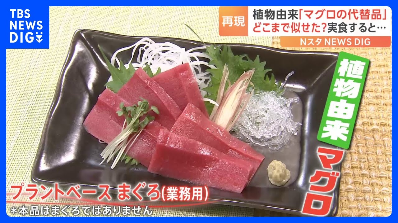 記者も騙された！？「全然わからない」日本ハム開発　植物由来の“代替マグロ”の味は？｜TBS&nbsp;NEWS&nbsp;DIG