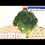 大注目のブロッコリー　“茎”まで食べる？食べない？【スーパーJチャンネル】(2024年1月23日)