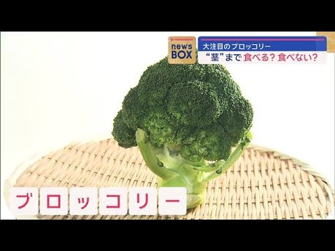 大注目のブロッコリー　“茎”まで食べる？食べない？【スーパーJチャンネル】(2024年1月23日)