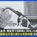 この冬一番の強烈寒波 日本海側あすにかけ大雪に警戒　福井では6時間で30センチの降雪　滋賀・長浜では積雪51センチ 大雪警報も｜TBS NEWS DIG