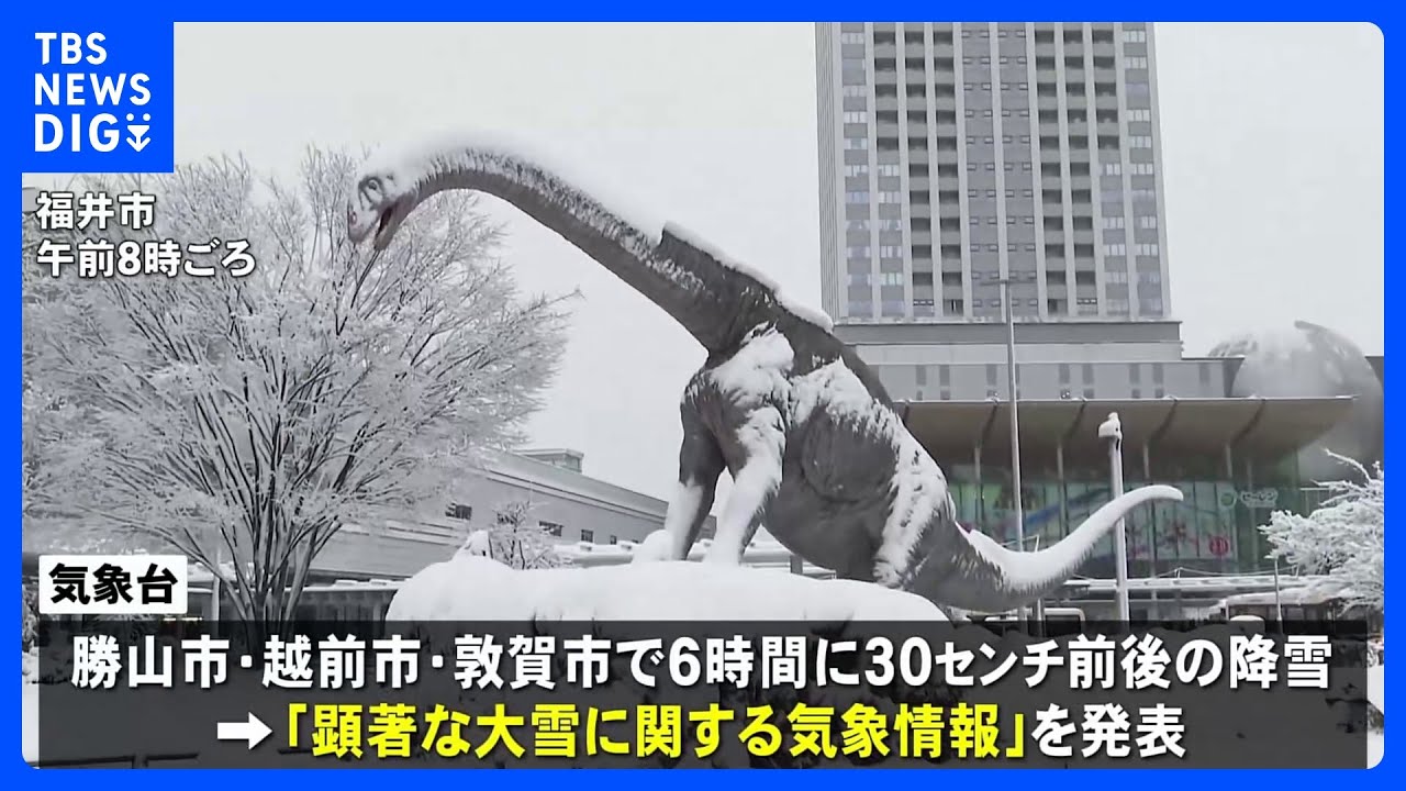 この冬一番の強烈寒波&nbsp;日本海側あすにかけ大雪に警戒　福井では6時間で30センチの降雪　滋賀・長浜では積雪51センチ&nbsp;大雪警報も｜TBS&nbsp;NEWS&nbsp;DIG