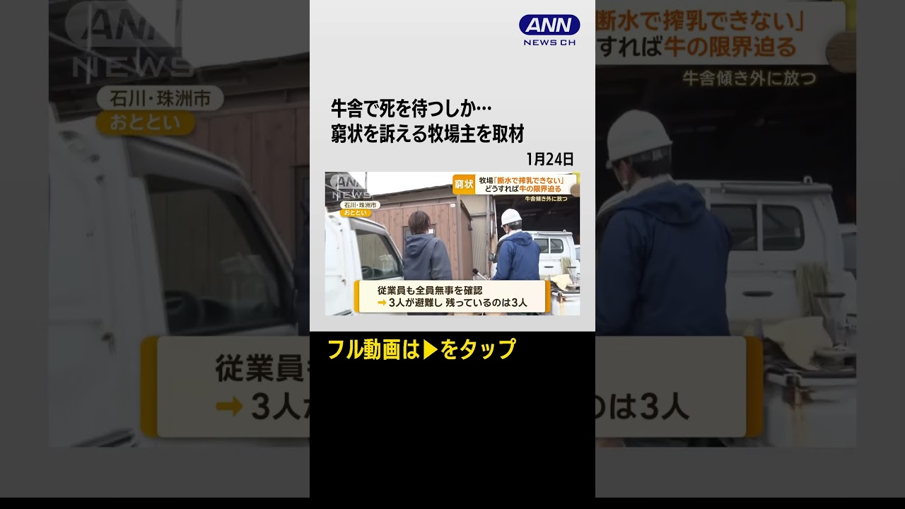 【牛舎で死を待つしか…窮状を訴える牧場主を取材】取り残された牛…断水で搾乳できず「乳牛諦める」　孤立した牧場では牛舎倒壊で　#shorts
