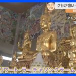 タイ・バンコク発！「クセつよ彫刻」が観光客に大人気！「驚きの寺院」とは？【すたすた中継】｜TBS NEWS DIG