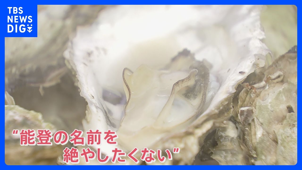 震災によって甚大な被害“世界農業遺産”の農業・漁業・畜産業　地震発生3日目から漁を再開した牡蠣養殖業者「能登の名前を絶やしたくない」【news23】｜TBS&nbsp;NEWS&nbsp;DIG