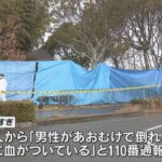 神戸の公園で男性の遺体　上半身に複数の傷　警察が事件と自殺の両面で捜査