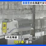 新千歳空港発着の99便が欠航　JRは391本運休　北海道は強い風を伴う雪で大荒れ｜TBS NEWS DIG
