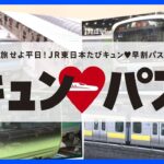 JR東日本 平日限定“新幹線1万円乗り放題パス”を発売！専門家がオススメする旅行プランとは？｜TBS NEWS DIG