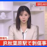 【速報】JR秋葉原駅で刺傷事件か　けが人4人の情報も｜TBS NEWS DIG