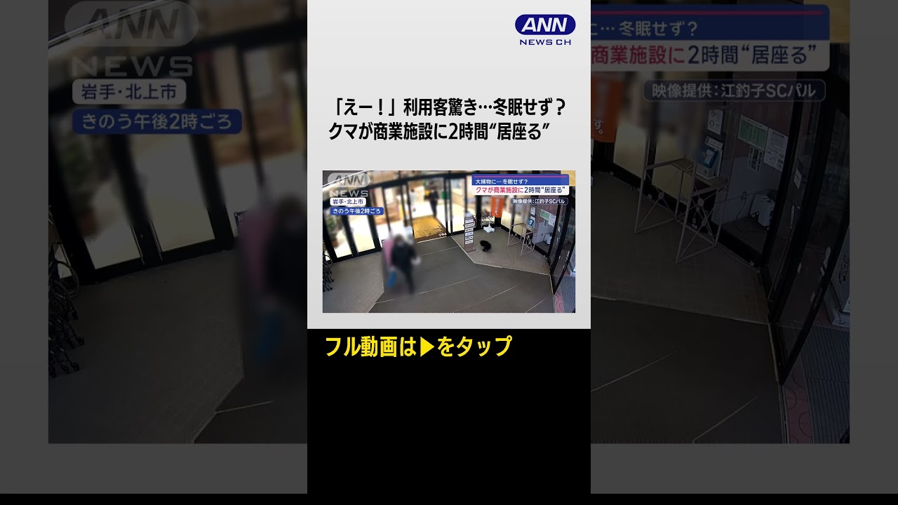 #shorts 「えー！」利用客驚き…冬眠せず？クマが商業施設に2時間“居座る”　相次ぐ出没