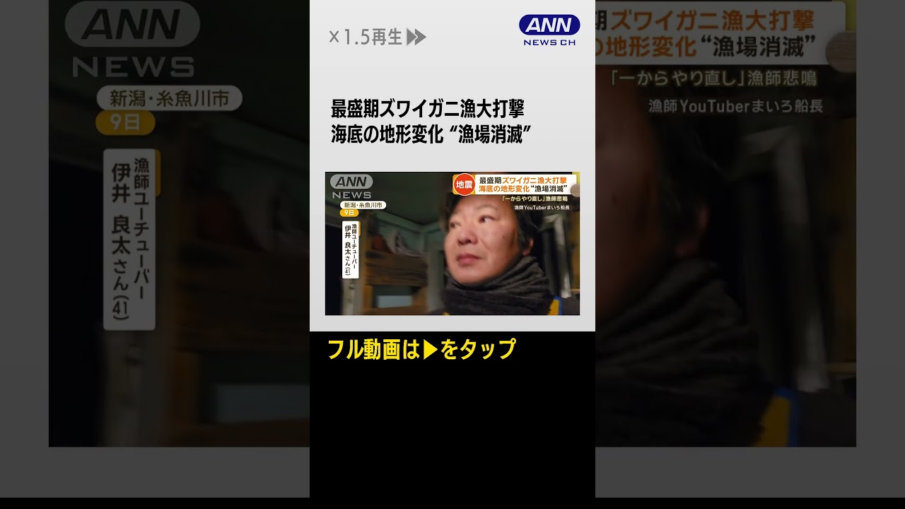 #shorts 漁師悲鳴「一からやり直し」最盛期のズワイガニ漁…地震で海底地形変化“漁場消滅”　【もっと知りたい！】【グッド！モーニング】