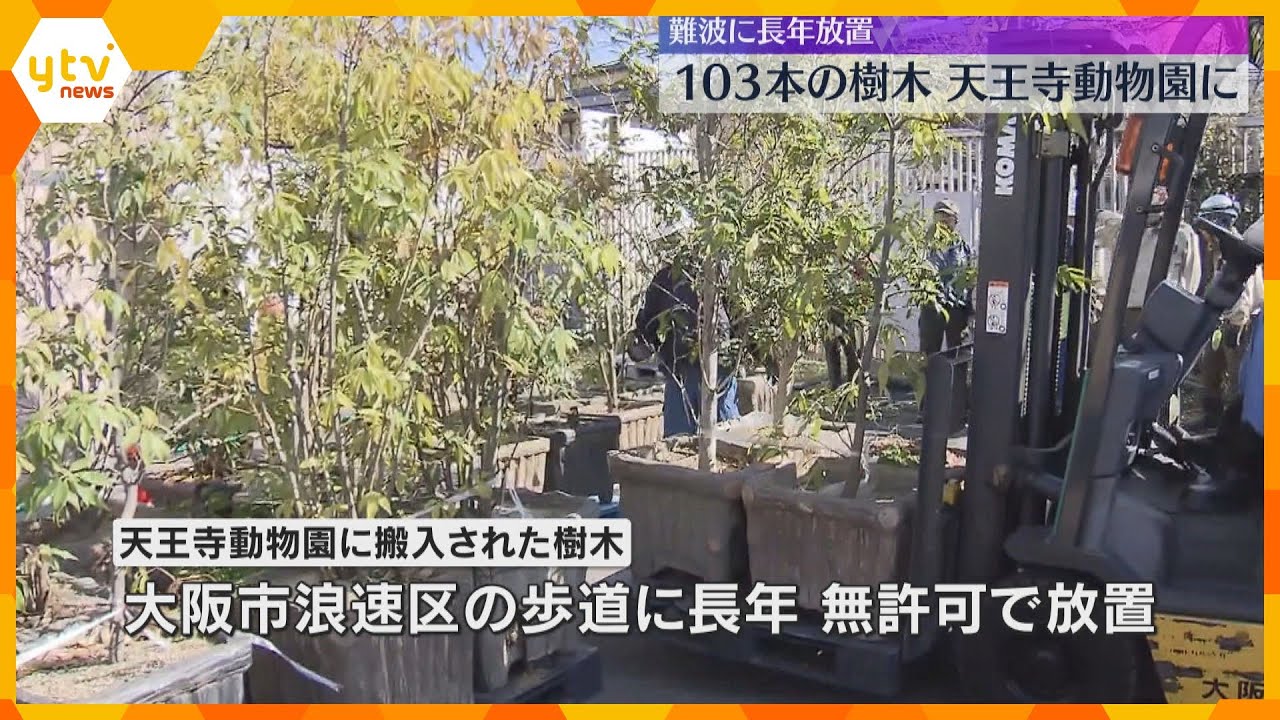 難波で長年放置の樹木103本に「譲ってほしい」などの約40件の声 天王寺動物園でエサなどに活用へ