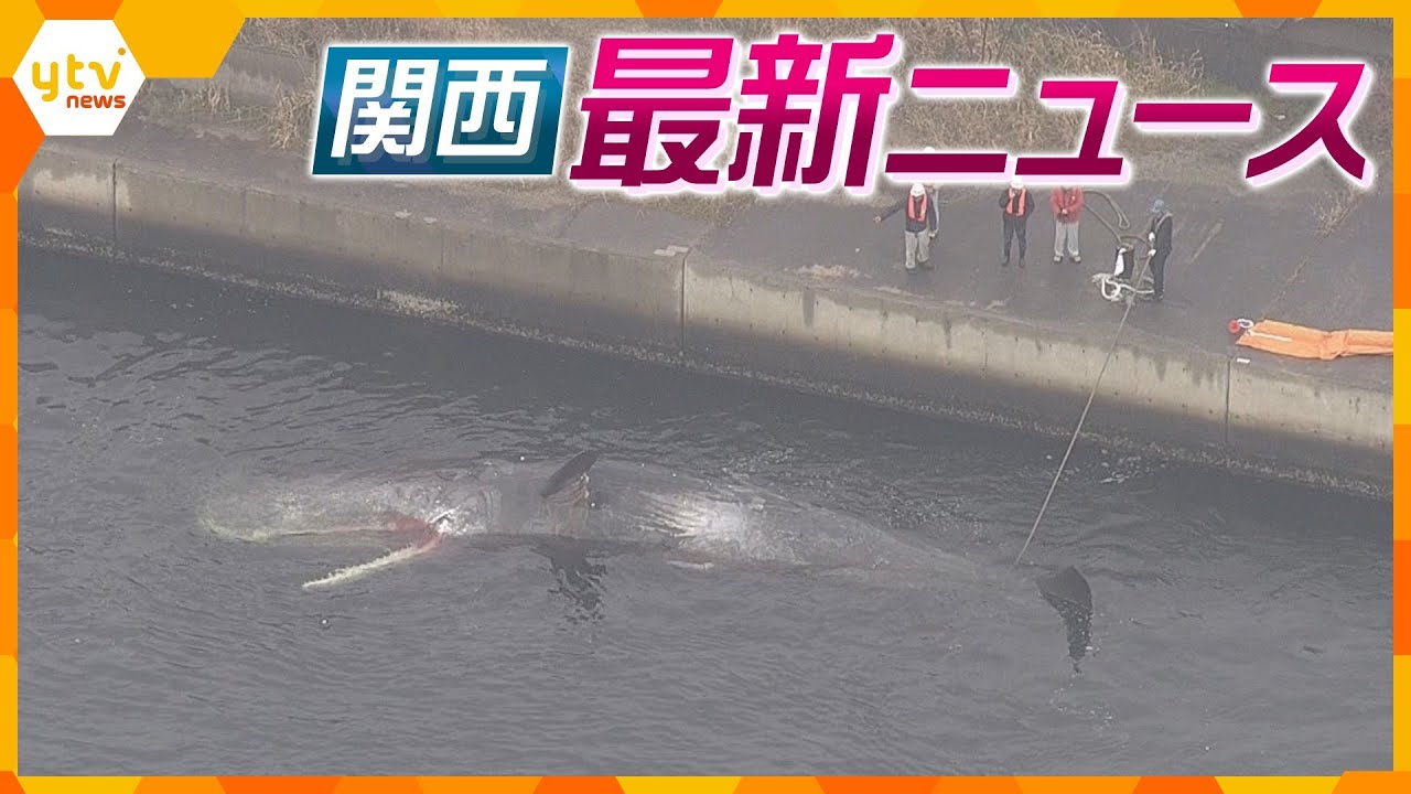 【ニュースライブ 2/19(月)】死んだクジラは“埋設”で決定/「びわ湖バレイ」現金28万円盗まれる被害/ミナミの園芸店 大麻事件に関与か ほか【随時更新】