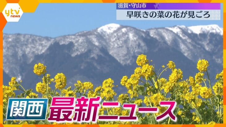 【ニュースライブ 2/2(金)】早咲きの菜の花が見頃/強盗傷害容疑で暴力団員と少年４人逮捕/神戸から能登へ『希望の灯』 　ほか【随時更新】