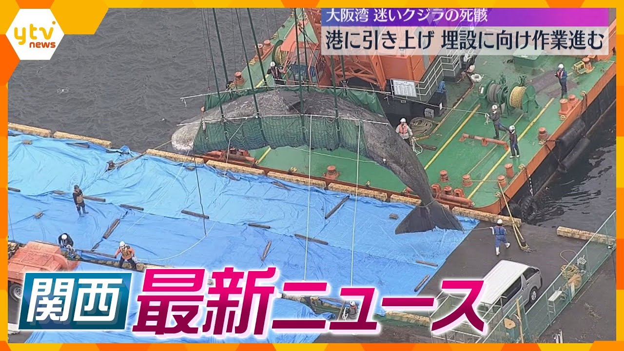 【ニュースライブ 2/22(木)】クジラの死骸 港に引き上げ/近鉄百貨店が約7億円申告漏れ/滋賀・甲賀市役所 “ニンジャ”が業務 ほか【随時更新】