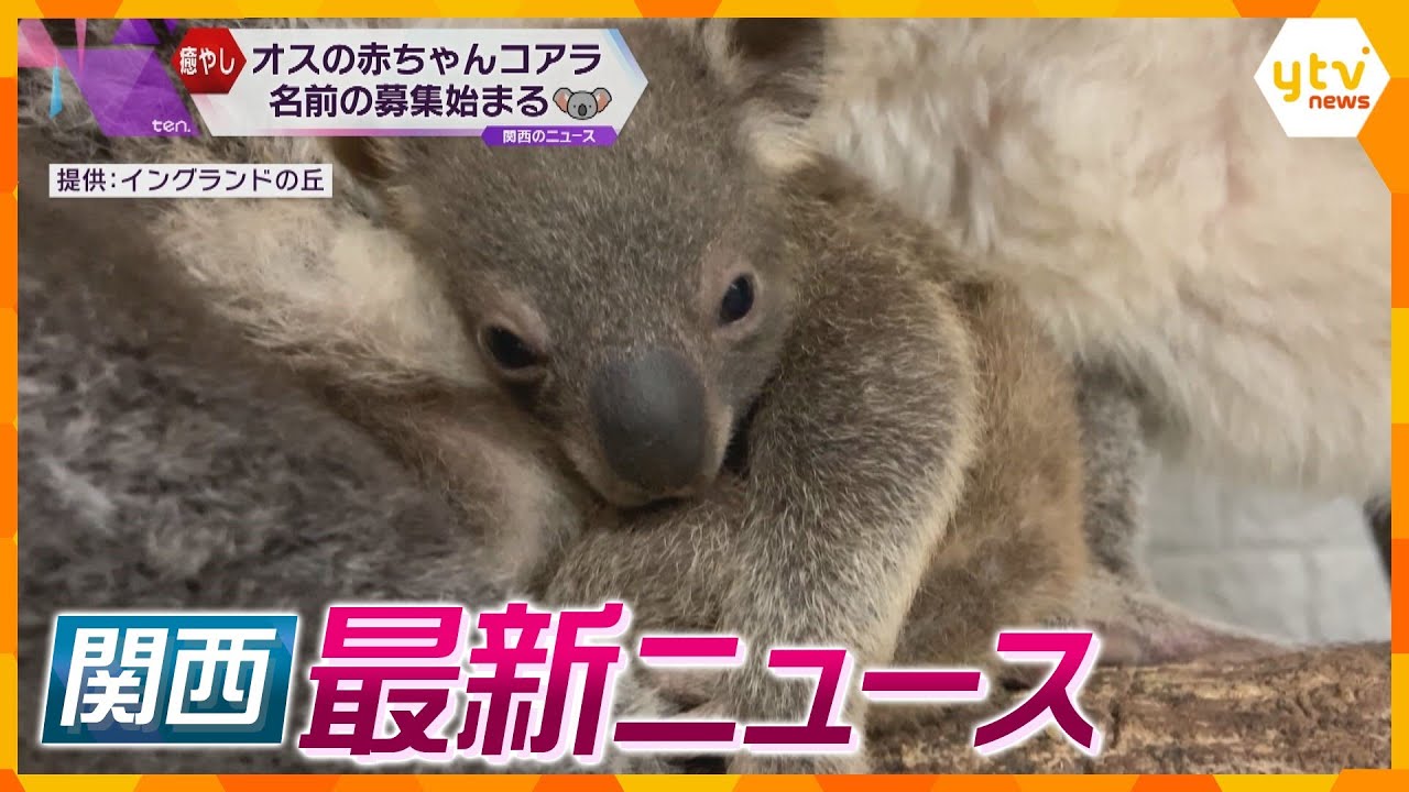【ニュースライブ 2/23(金)】コアラの赤ちゃん名前募集/ ウクライナ侵攻あすで2年/日経平均株価最高値更新/醍醐寺 餅上げ力奉納 　ほか【随時更新】