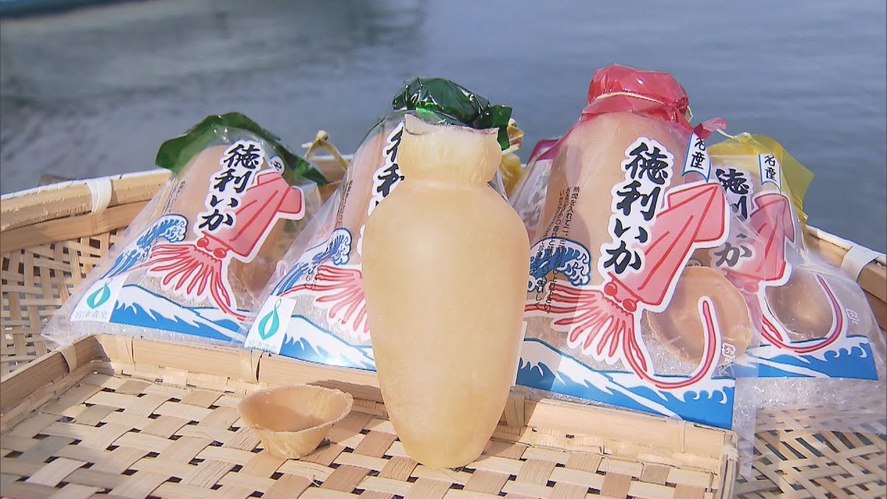 中の熱燗を飲み干した後はそのまま「酒の肴」に…京都・宮津市の名産「徳利いか」づくりが最盛期迎える