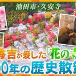 【若一調査隊】豊臣秀吉が手植えした大木がお出迎え　四季折々の花々が美しい1300年の歴史をもつ古刹・「久安寺」の魅力を徹底調査！