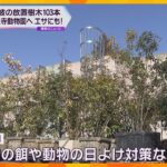 「ニュースで見て、ええな欲しいなと」難波に長年放置の樹木が天王寺動物園に　草食動物のエサにも