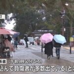 奈良公園で歩行者に車突っ込む　観光客とみられる１人が意識不明　運転手の７９歳男を現行犯逮捕