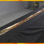 富雄丸山古墳で発見「蛇行剣」全容判明　全長285センチで日本最大　3月30日から一般公開　奈良