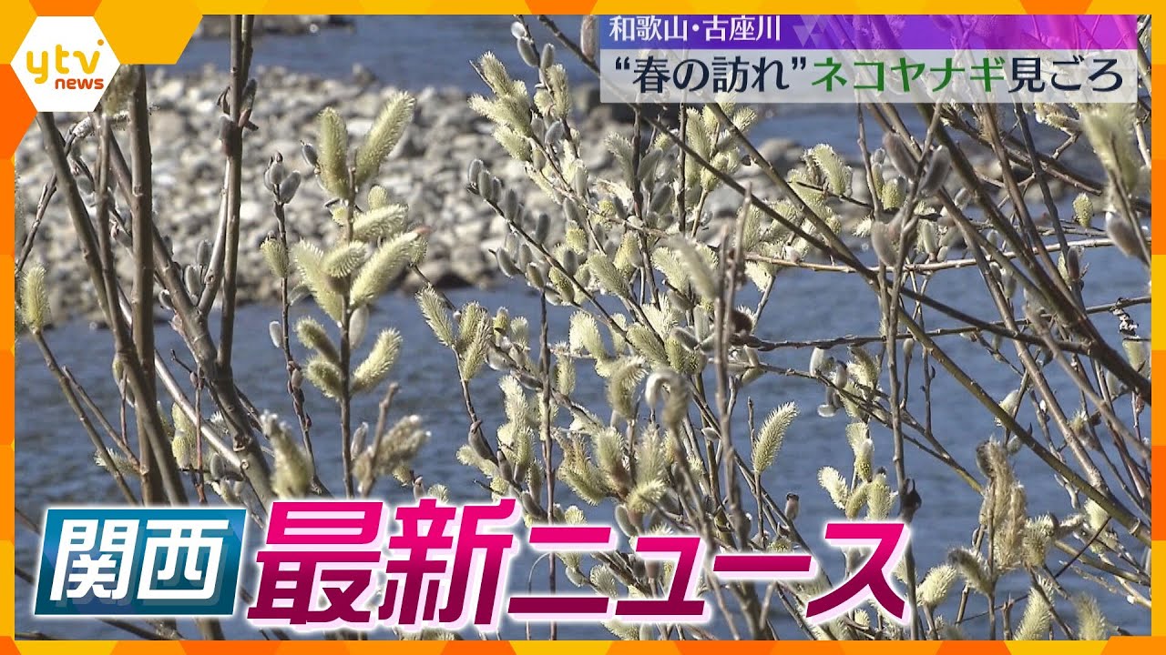 【ニュースライブ 3/4(月)】能勢町ダイオキシン問題 豊能町が最終処分場建設に向け調査へ/ロケット打ち上げ安全祈願祭/『ネコヤナギ』見頃 ほか【随時更新】