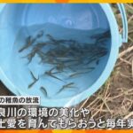 成長して戻ってきて！約5センチのサケの稚魚放流　16、17日の2日間で約5万匹　福知山市の由良川