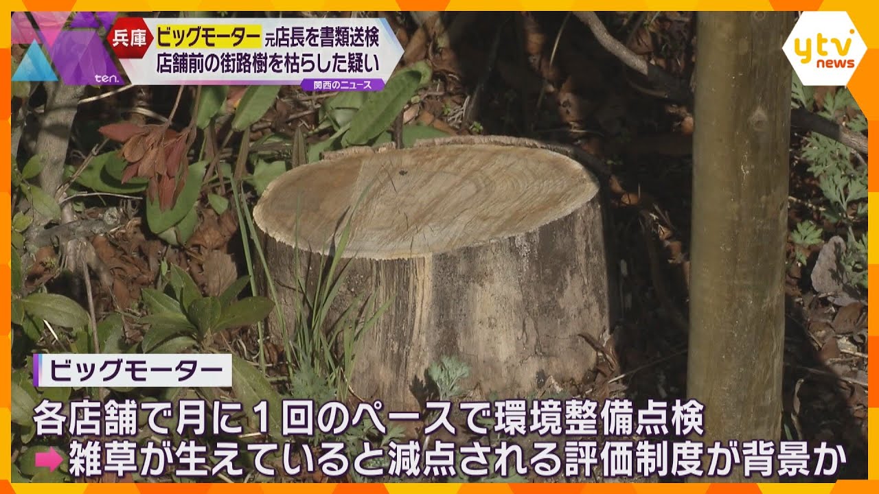 「除草剤をまいたのは道路の割れ目」器物損壊の疑いで「ビッグモーター」元店長書類送検　容疑一部否認