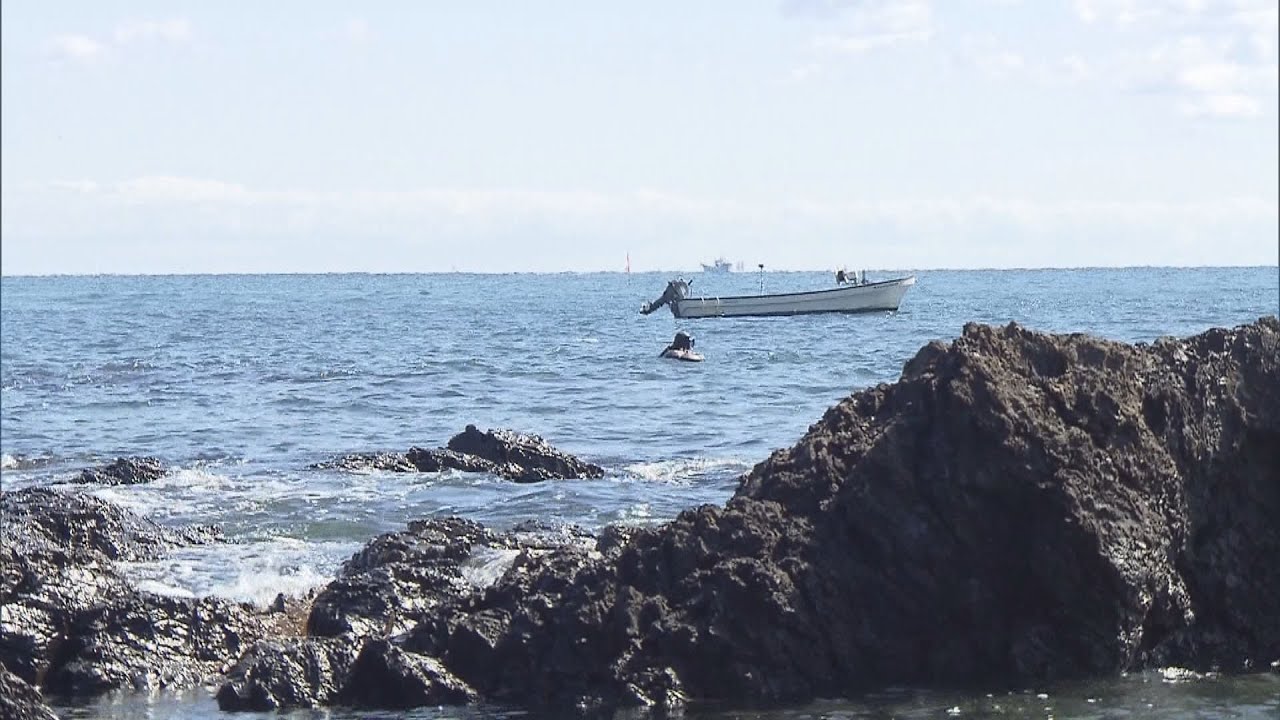 南紀に春の訪れを告げるアワビやトコブシ素潜り漁　和歌山・串本町