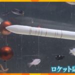 「宇宙を感じて」ロケット応援水槽が登場　9日打ち上げ予定で盛り上げようと企画　和歌山・串本町