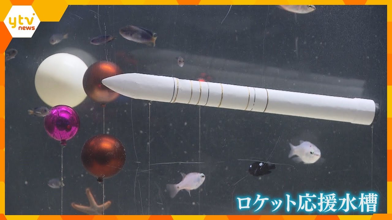 「宇宙を感じて」ロケット応援水槽が登場 9日打ち上げ予定で盛り上げようと企画 和歌山・串本町