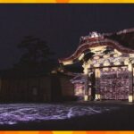 「NAKED桜まつり2024世界遺産・二条城」夜桜と光や音のアートが融合した幻想的な花見　　