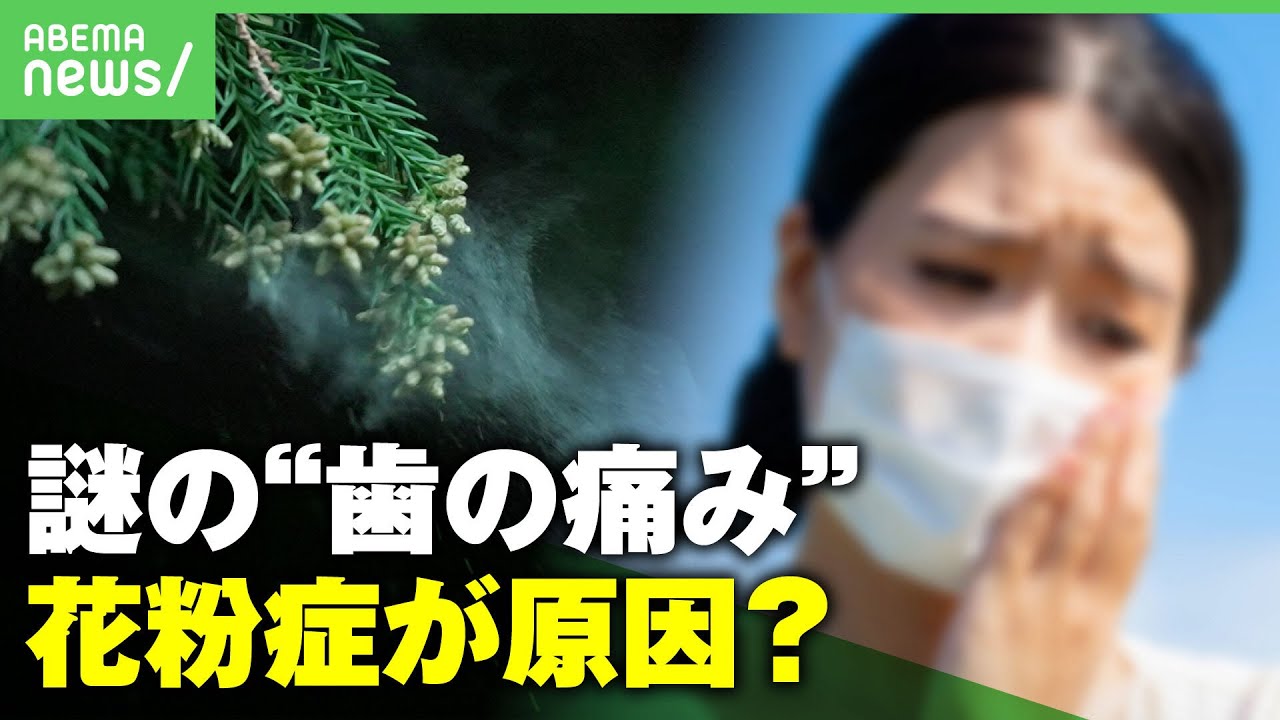 【花粉症で歯痛?】「走ると痛む人も…」SNSで相次ぐ謎の”歯の痛み” 原因は花粉症?対処法は?歯科医に聞く|アベヒル