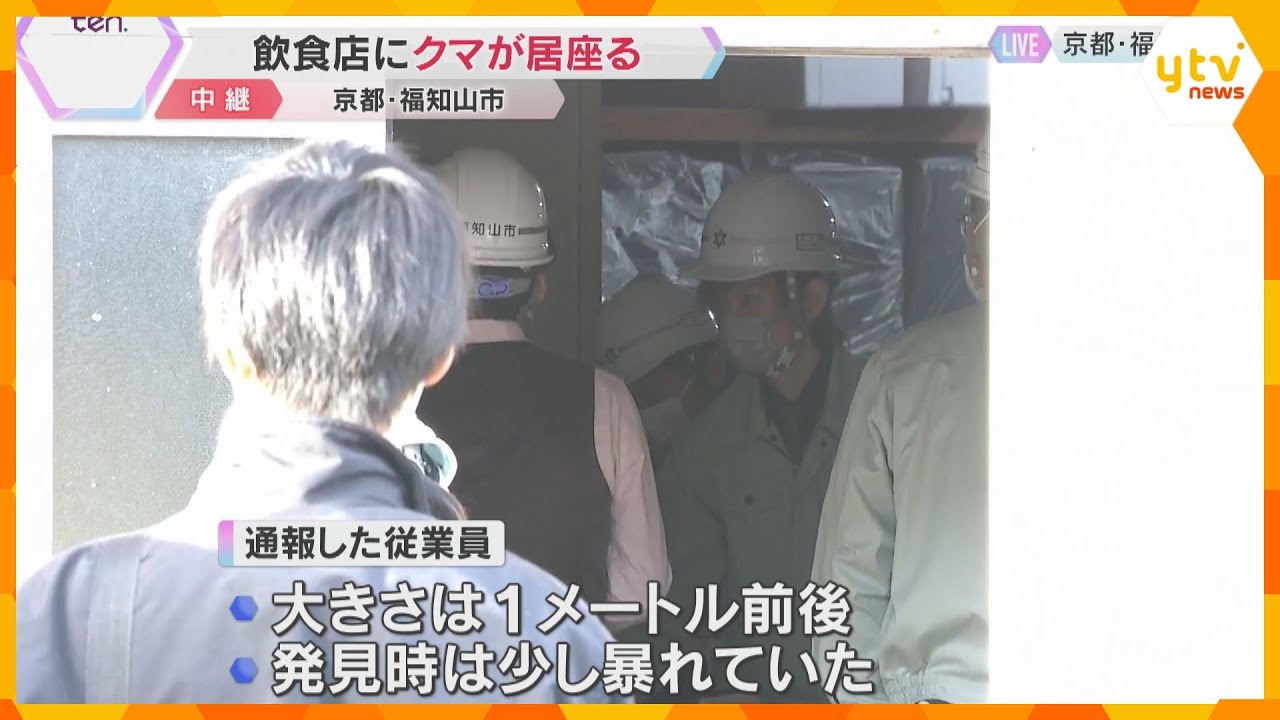 飲食店の倉庫に居座るクマは体長1メートル前後　爆竹鳴らして反応確認　捕獲せずに逃がす方向で作業