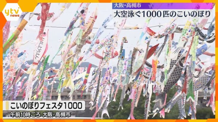1000匹のこいのぼりが大空泳ぐイベント「むっちゃ、こいのぼりがいて驚いた！」大阪・高槻市