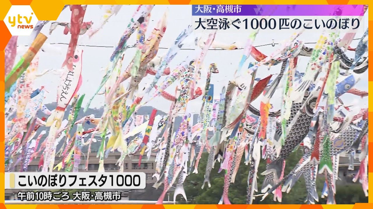 1000匹のこいのぼりが大空泳ぐイベント「むっちゃ、こいのぼりがいて驚いた！」大阪・高槻市