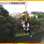 桜の絶景に絶叫も　高さ30メートル「開運橋」からのバンジージャンプで新感覚お花見　奈良・三郷町