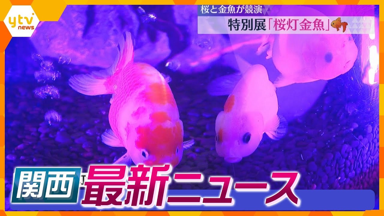 【ニュースライブ4/15(月)】岸田首相襲撃から１年/ダイハツ本社工場で出荷再開/特別展『桜灯金魚』開催　 ほか【随時更新】