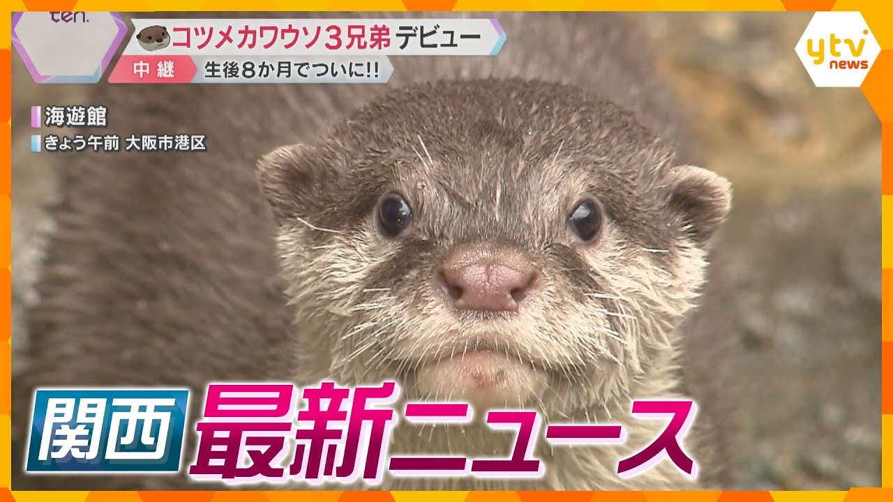 【ニュースライブ4/24(水)】コツメカワウソ兄弟 お披露目/寺がコロナ対策の助成金を不正受給/不正入手のカード情報で詐取図ったか　 ほか【随時更新】