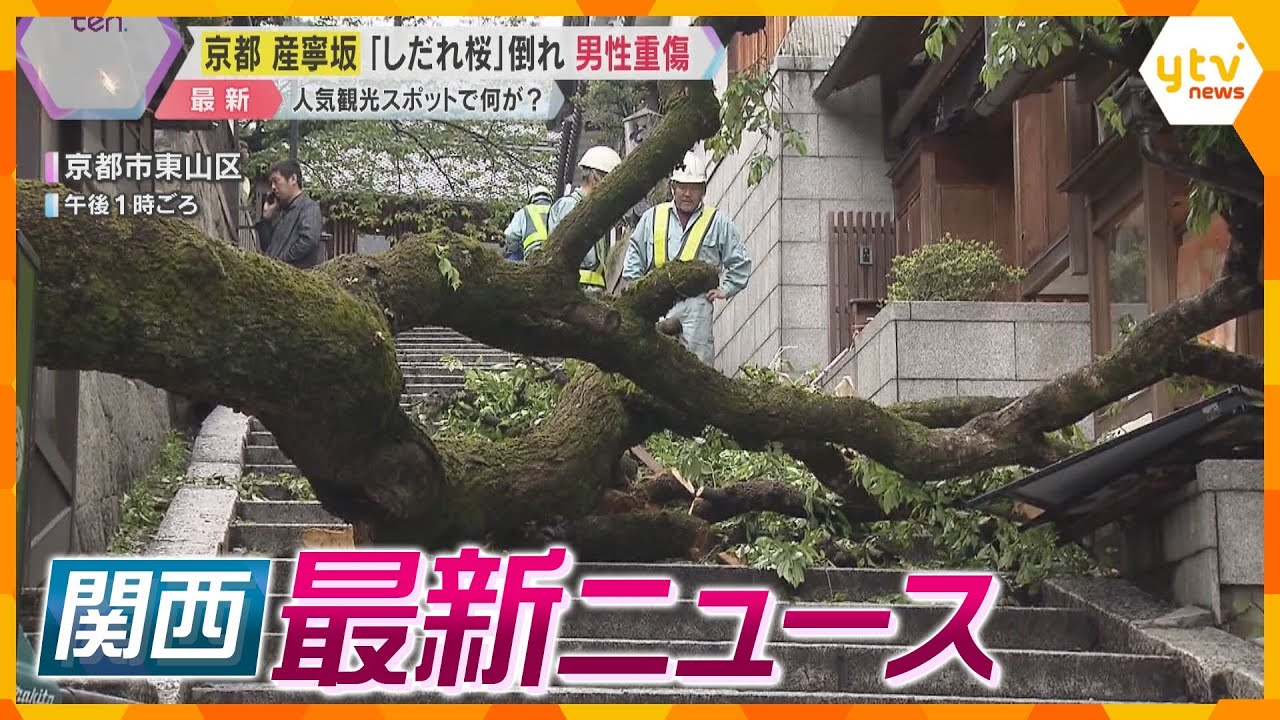 【ニュースライブ4/24(水)】京都の倒木「根が十分育っていなかったか」/コツメカワウソ兄弟デビュー/奈良県にメガソーラーは必要か　 ほか【随時更新】