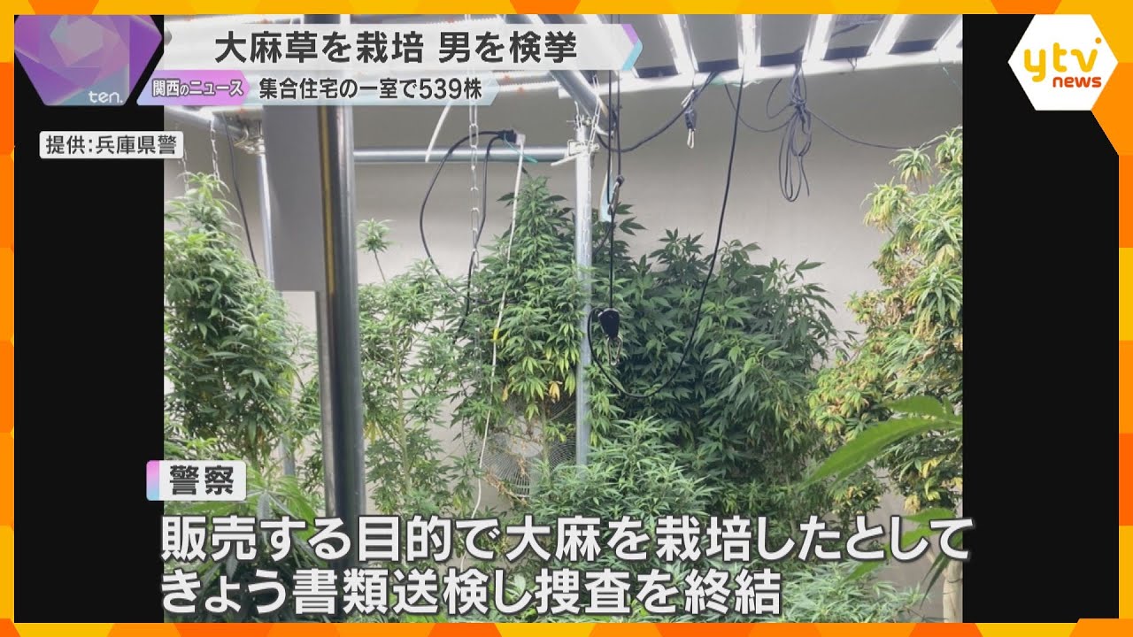 集合住宅の一室で500株以上の大麻栽培か「販売目的ではなく自分で使用」無職の男を書類送検　姫路